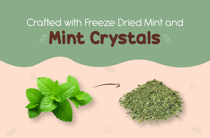 Mint Dark Iced Chocolate Mix Sachets