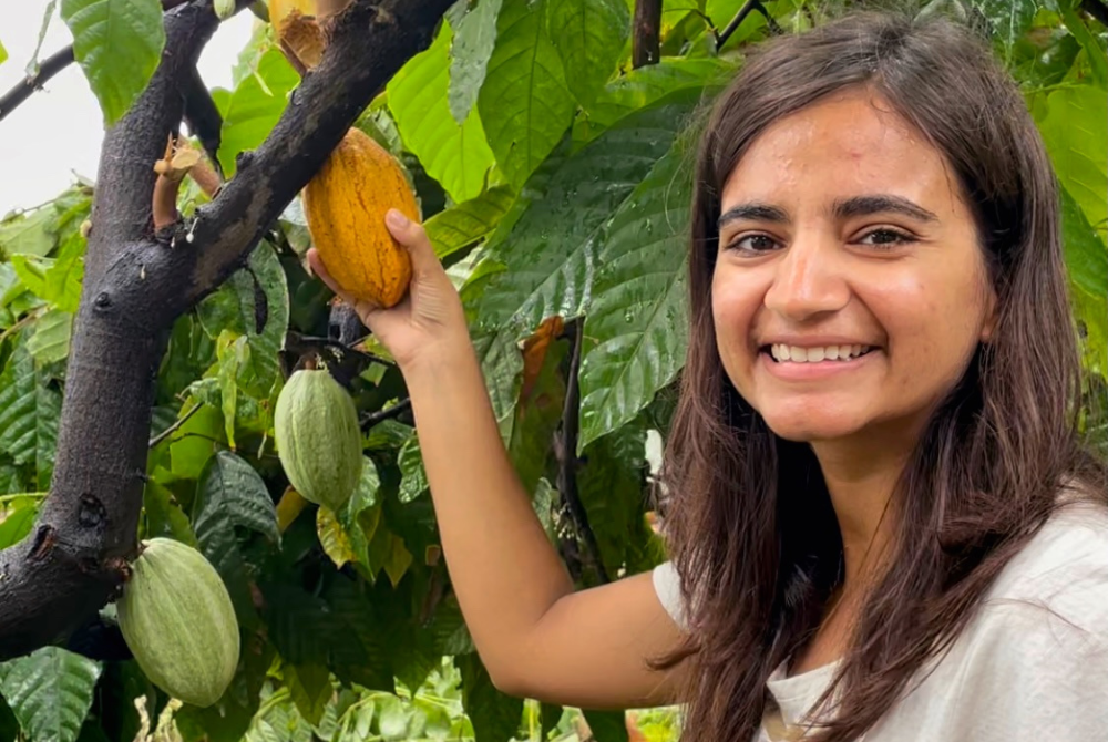 Coffee-Infused Hot Chocolate Mix - 10 Cup Pack