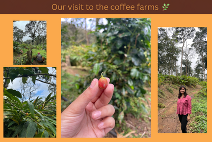 Coffee-Infused Hot Chocolate Mix - 10 Cup Pack