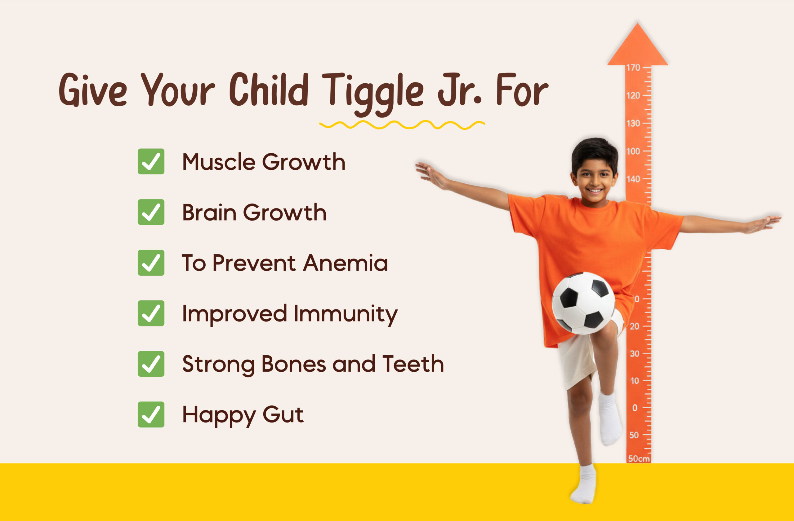 tiggle junior website slides2-08